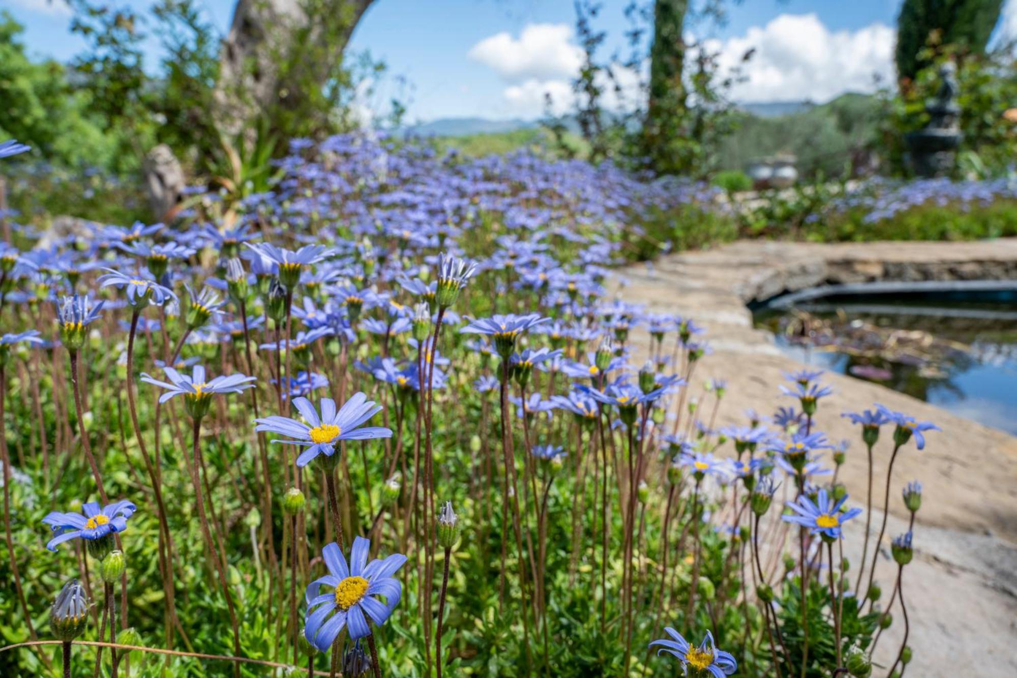 Villarose Castelbuono  Exteriér fotografie